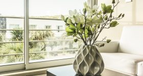 plante rezistente pentru apartament